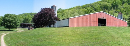 Enlarge photo 17