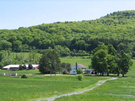 Enlarge photo 21