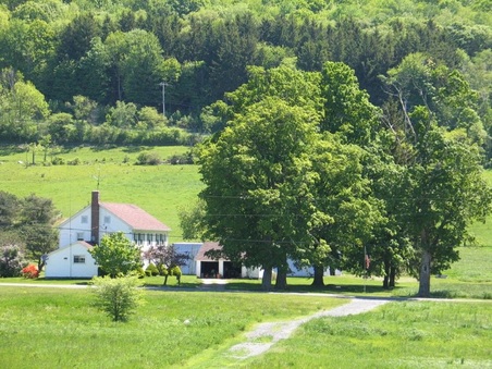 Enlarge photo 22