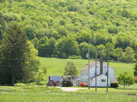 Enlarge photo 23