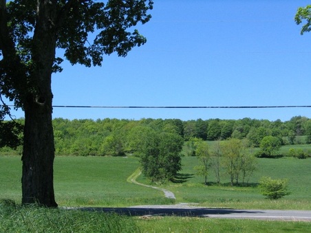 Enlarge photo 24