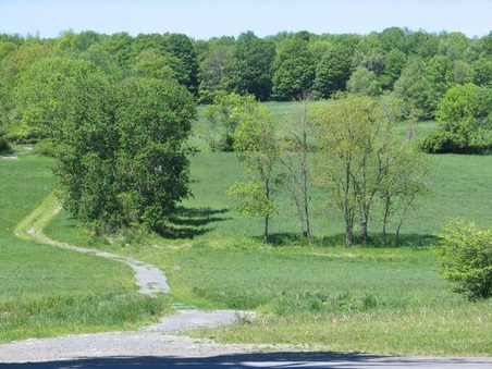 Enlarge photo 25
