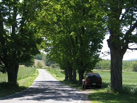 Enlarge photo 30