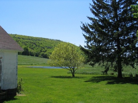 Enlarge photo 32