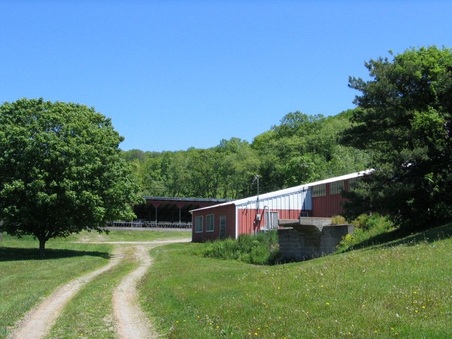 Enlarge photo 36