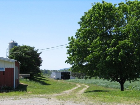 Enlarge photo 37
