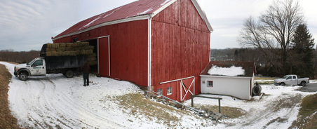 Enlarge photo 15