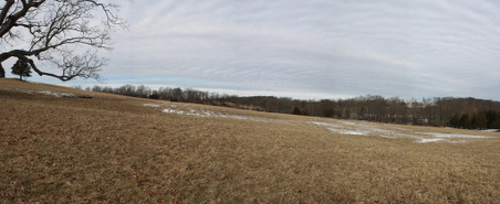Enlarge photo 17