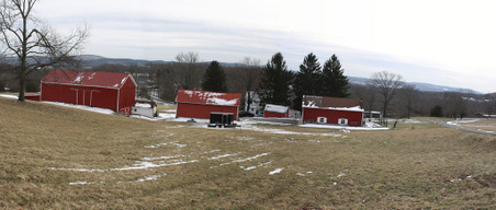 Enlarge photo 21