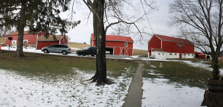 Enlarge photo 22