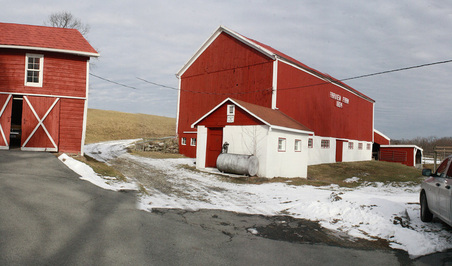 Enlarge photo 8
