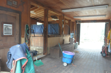 Enlarge photo 45