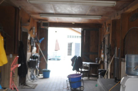 Enlarge photo 46