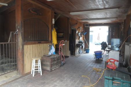 Enlarge photo 47