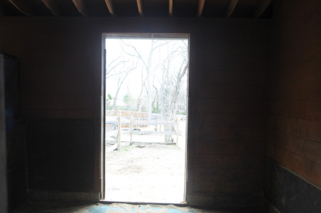 Enlarge photo 54