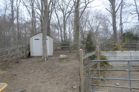 Enlarge photo 58