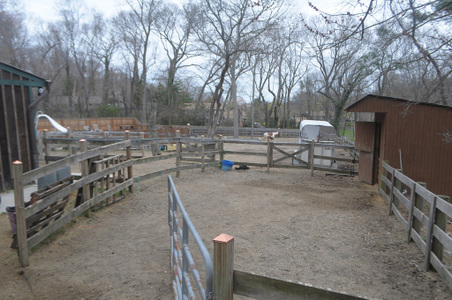 Enlarge photo 59