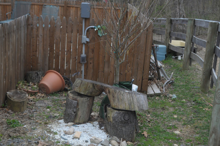Enlarge photo 67
