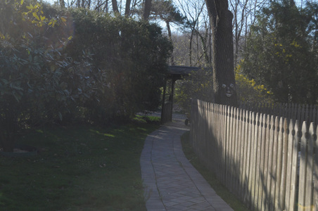 Enlarge photo 17