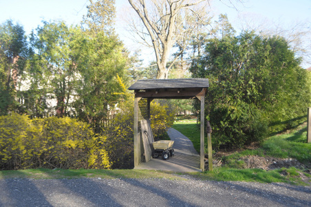 Enlarge photo 20