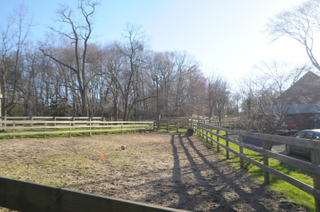 Enlarge photo 25