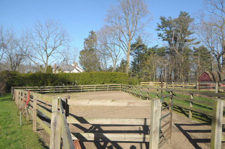 Enlarge photo 26