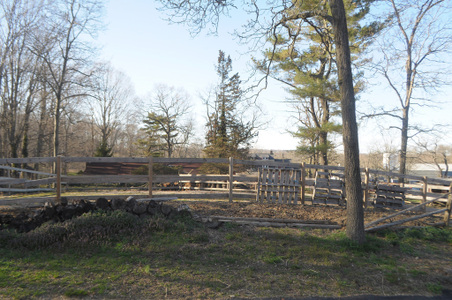 Enlarge photo 30