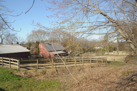 Enlarge photo 31