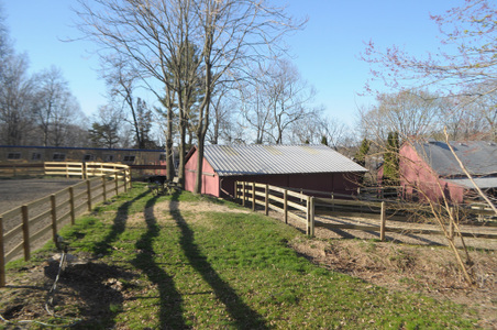 Enlarge photo 33