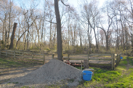 Enlarge photo 37