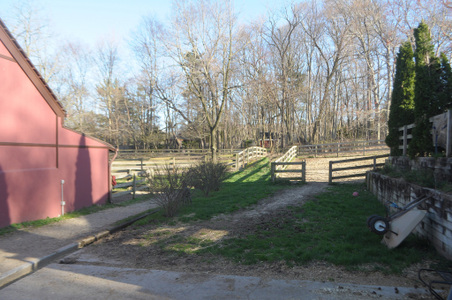 Enlarge photo 40