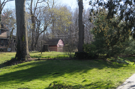Enlarge photo 41