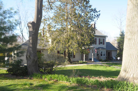Enlarge photo 42