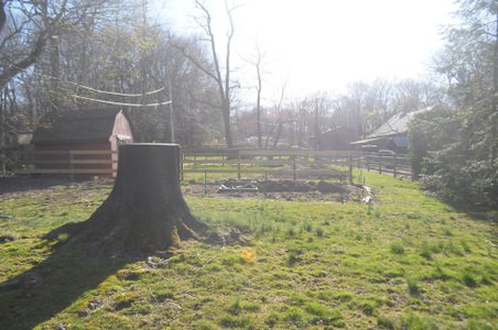Enlarge photo 43