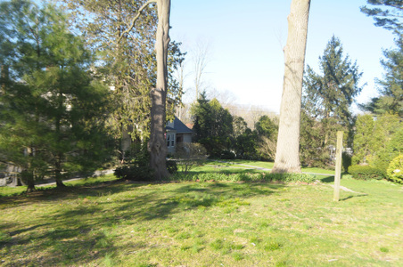 Enlarge photo 44
