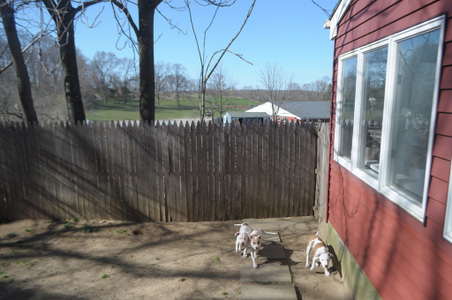 Enlarge photo 35