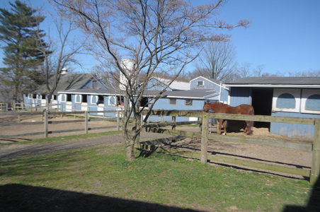 Enlarge photo 43