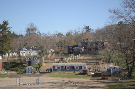 Enlarge photo 46