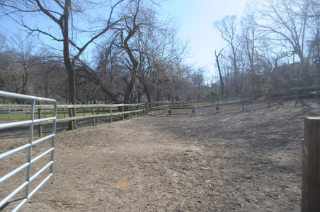 Enlarge photo 47