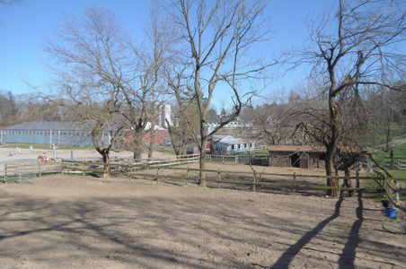 Enlarge photo 48