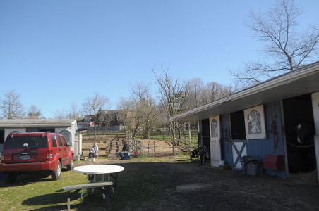 Enlarge photo 51