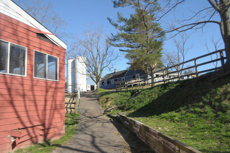 Enlarge photo 54
