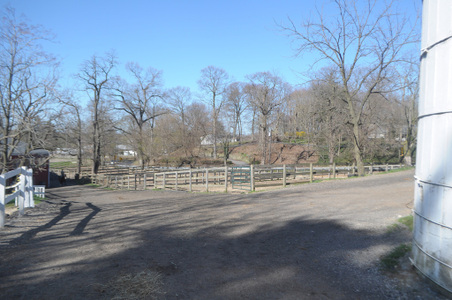 Enlarge photo 56
