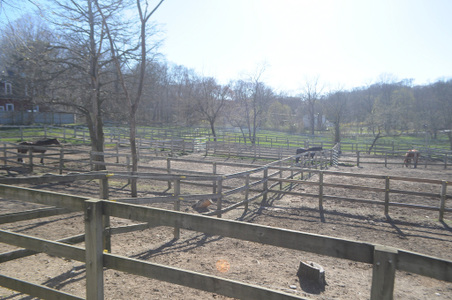 Enlarge photo 61
