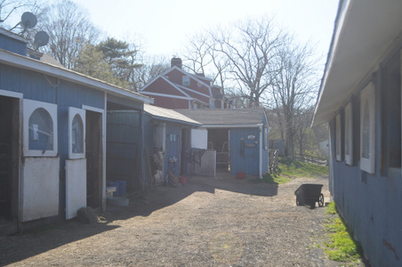 Enlarge photo 69