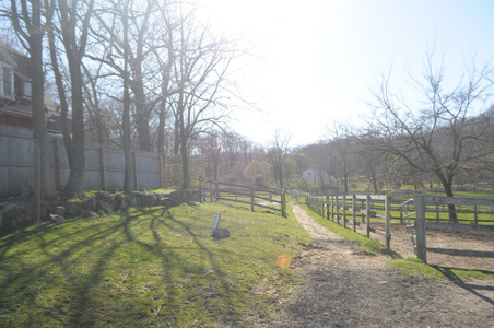 Enlarge photo 71