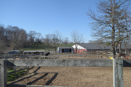 Enlarge photo 73