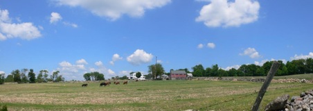 Enlarge photo 28