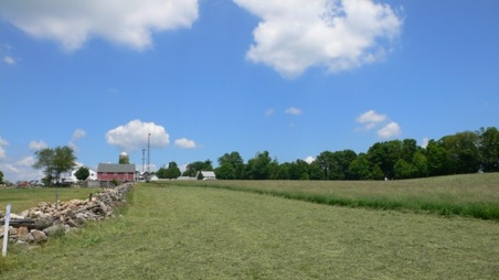 Enlarge photo 30