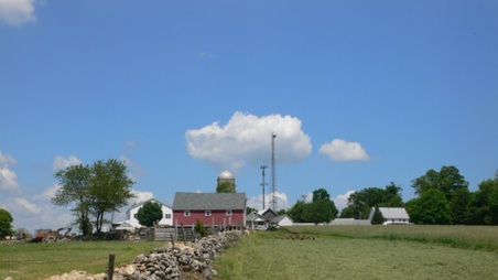 Enlarge photo 31
